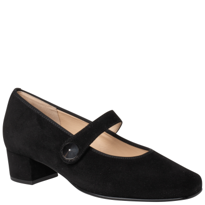 zwart Hassia bandpump 303375 bij Krisman & Westeneng