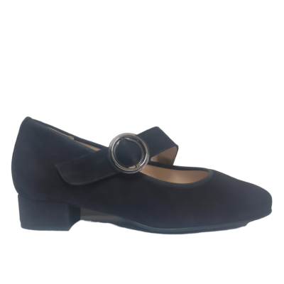 Hassia bandpump 302458 blauw K-wijdte bij Krisman & Westeneng