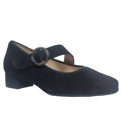 Hassia bandpump 302458 blauw K-wijdte bij Krisman & Westeneng