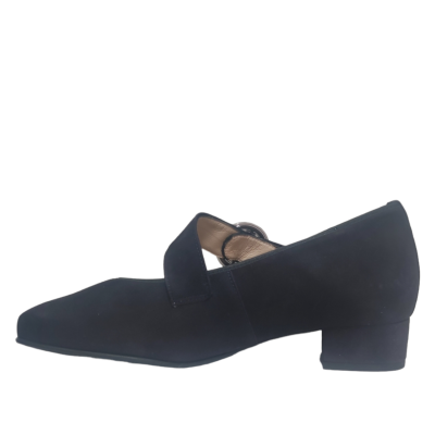 Hassia bandpump 302458 blauw K-wijdte bij Krisman & Westeneng