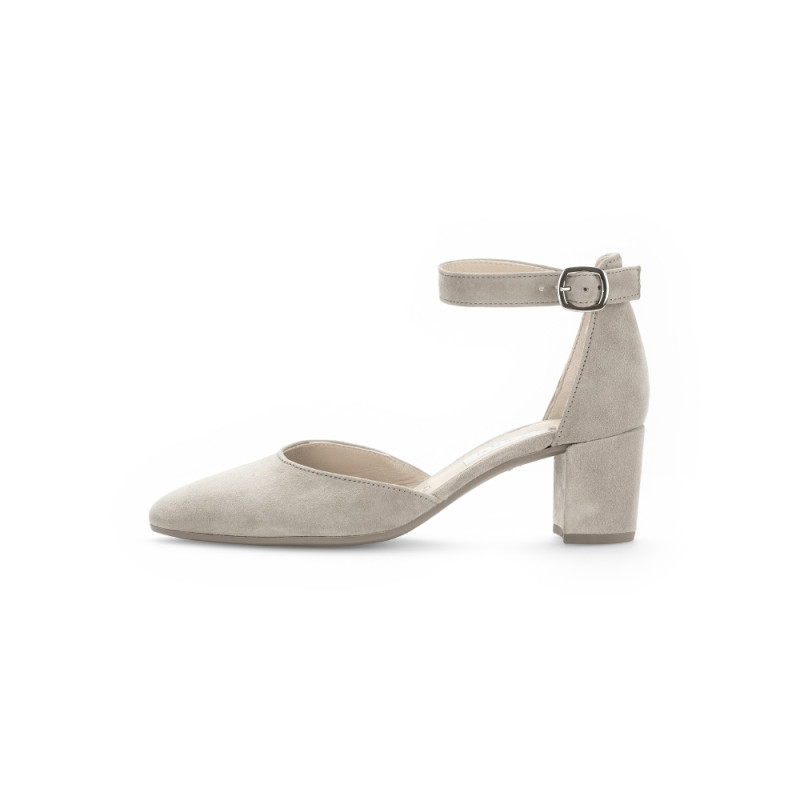 Gabor bandpump 61.340.12 viscone bij Krisman&Westeneng
